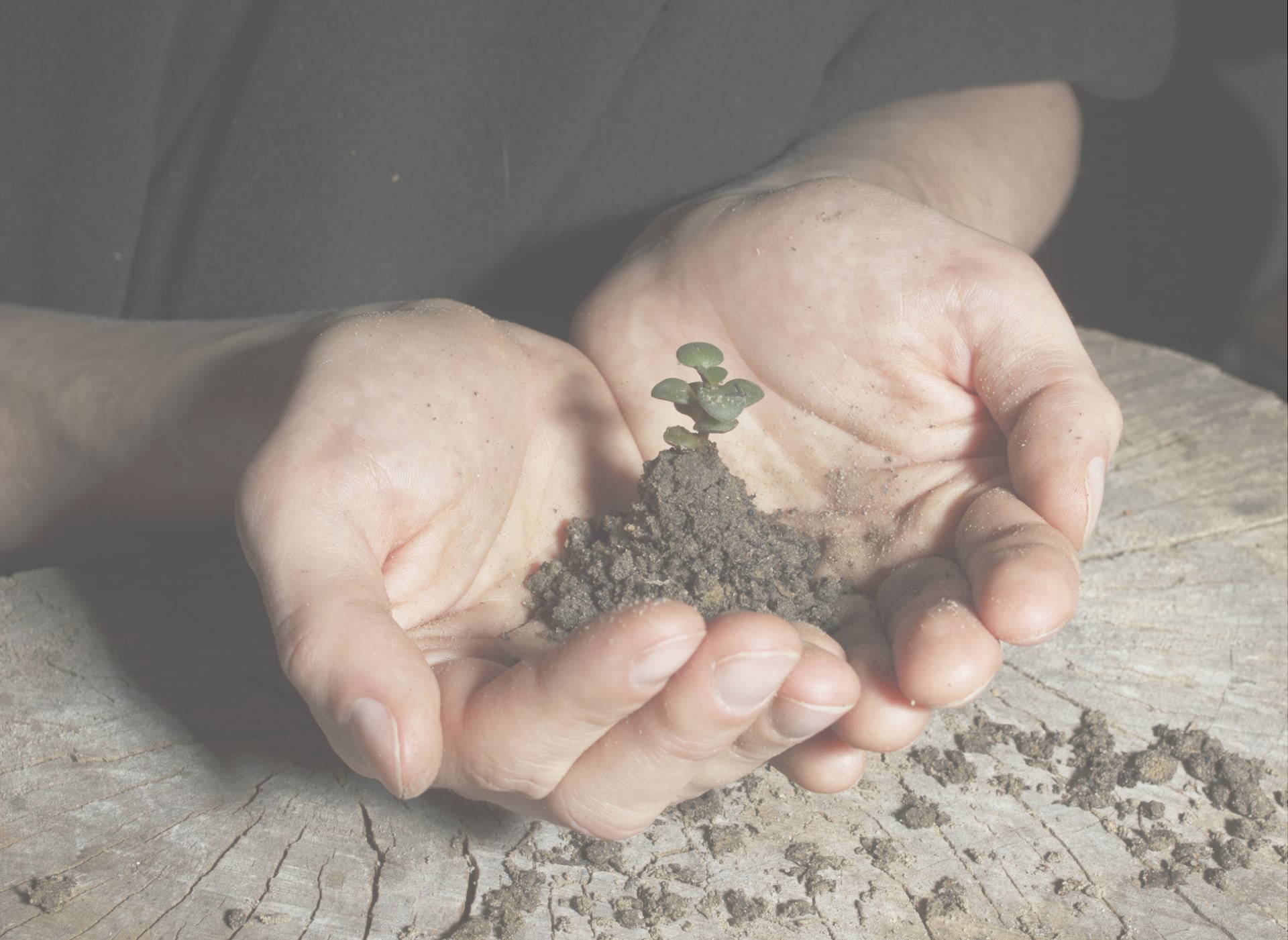 crescere, tempo, pensare positivo