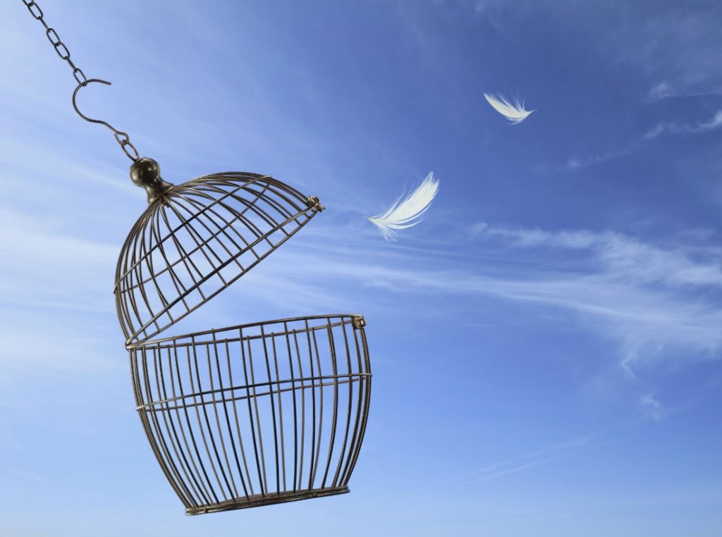 Il rispetto per chi ha idee diverse non ci può impedire di esprimere la nostra opinione e difendere i nostri valori