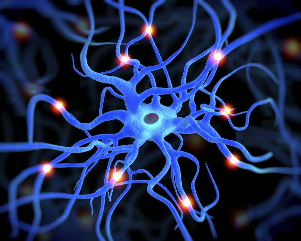 Insegniamo ai giovani a rischiare e riconosciamo il valore di chi percorre nuove vie