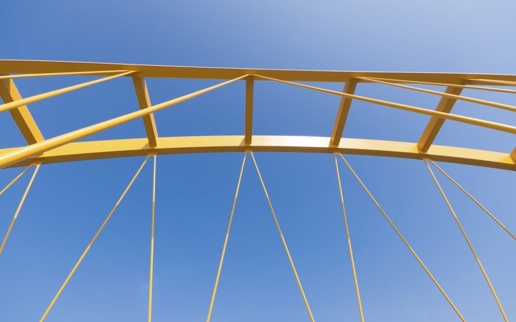 La storia del meme, un ponte tra natura e cultura. Una nuova visione per capire successi e fallimenti