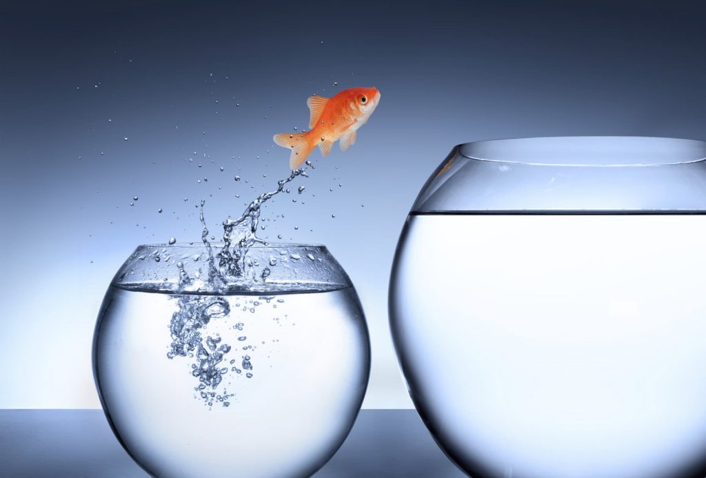 Ama ciò che fai, lavora duramente, elimina le distrazioni, condividi le tue idee. Così avrai successo