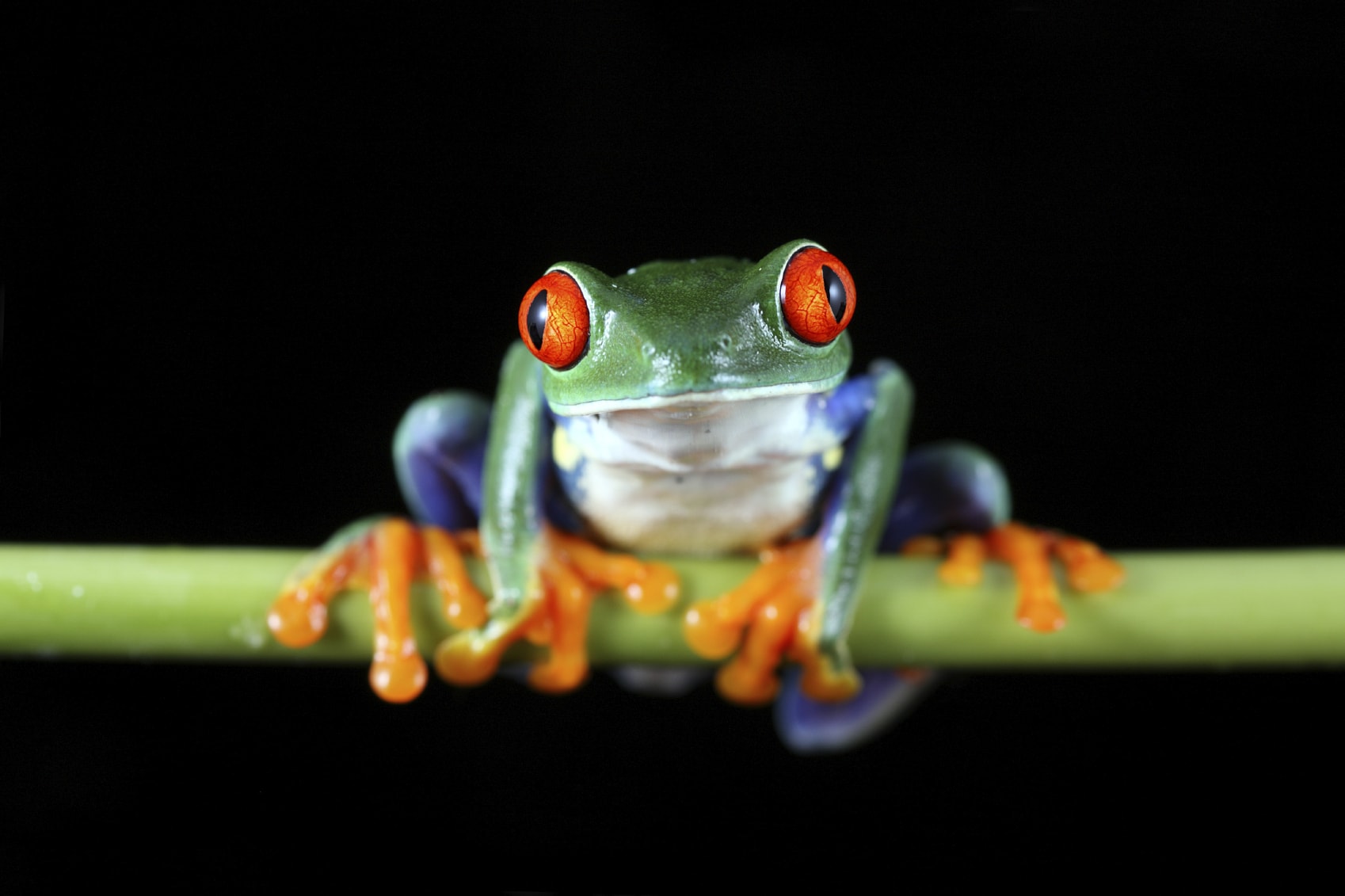 biodiversità