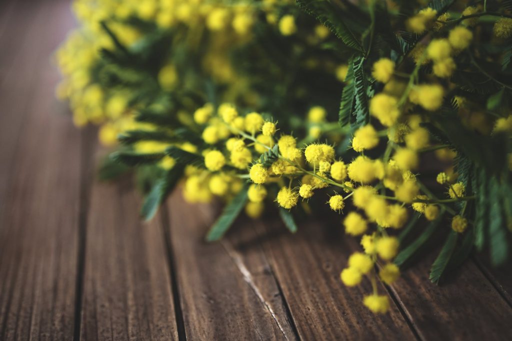 Rare sono le persone che usano la mente, poche coloro che usano il cuore… uniche coloro che usano entrambi