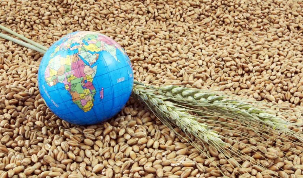Cibo per il Pianeta: la soluzione parte da noi