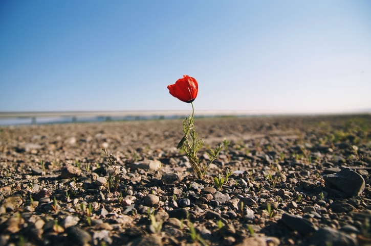 come migliorare resilienza