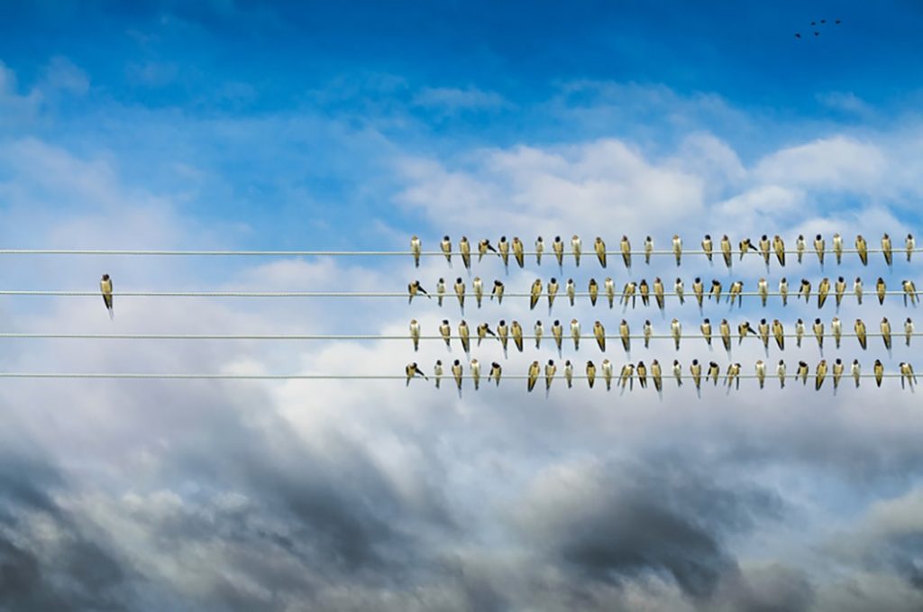 Sei introverso? Per fare networking segui questi 4 consigli