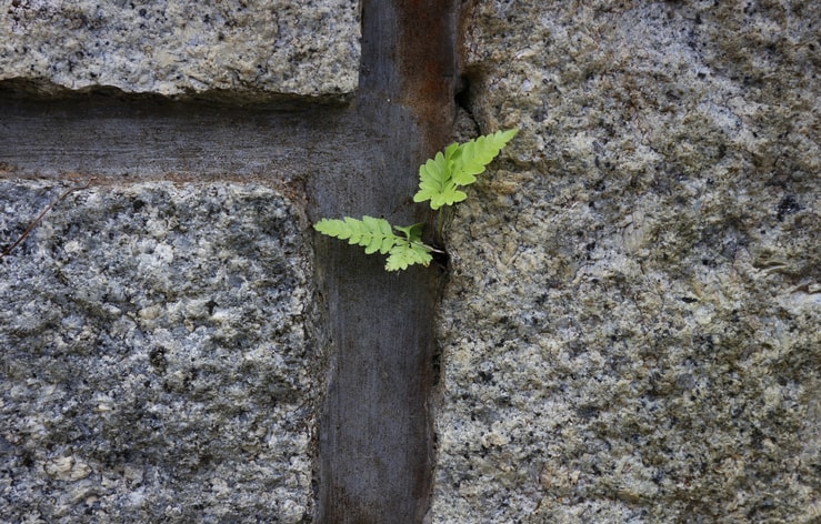 Immagine principale di: Ecco i 3 mantra quotidiani di ogni persona altamente resiliente