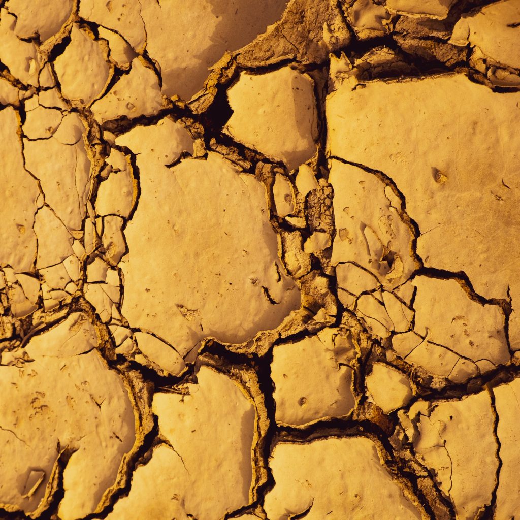 Broken Nature in Triennale. Il design sfida l'emergenza climatica