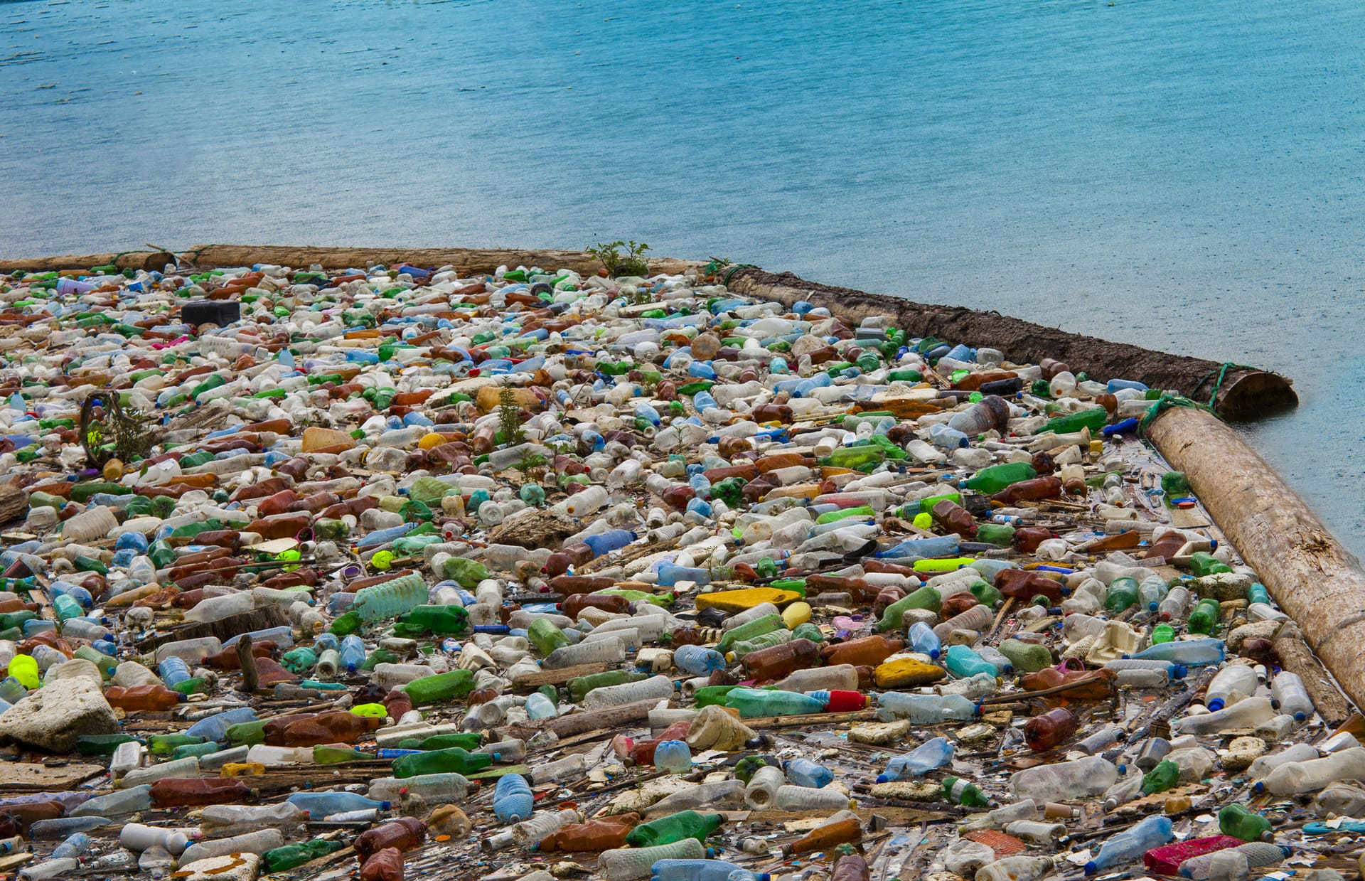 Immagine principale di: C’è un nuovo alleato nella lotta alla plastica negli oceani