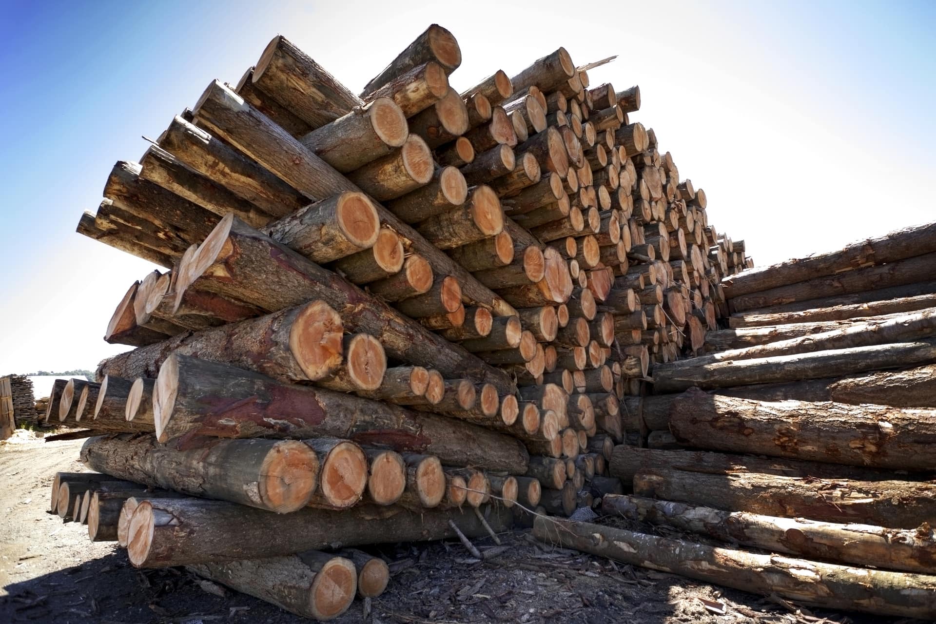 Immagine principale di: Perché stiamo giocando a Jenga con la nostra Terra?