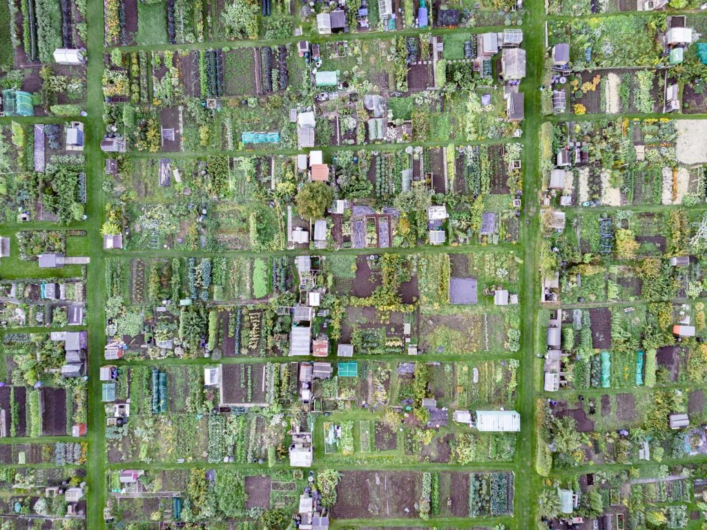Come tutelare l'ambiente davvero