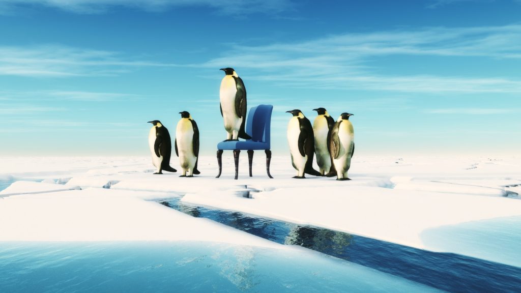 3 requisiti fondamentali per essere un buon team leader