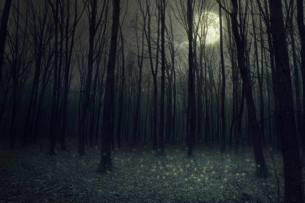 A lezione con Stephen King, il maestro del brivido