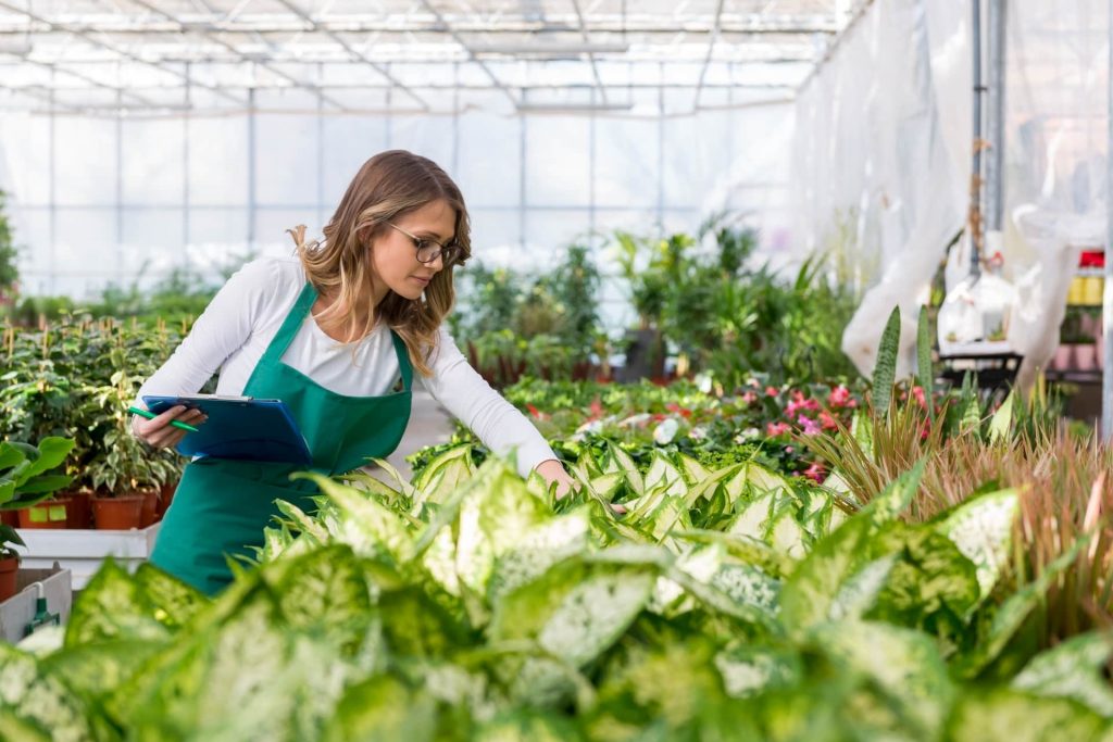 Green jobs ecco i nuovi mestieri del mondo del fashion