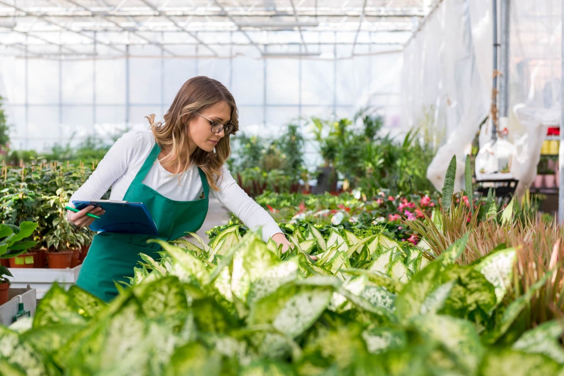 Immagine principale di: Green jobs ecco i nuovi mestieri del mondo del fashion