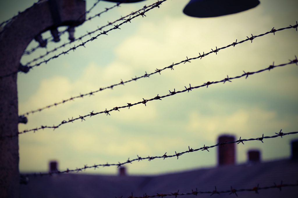 Giornata della memoria: ecco a cosa serve ricordare