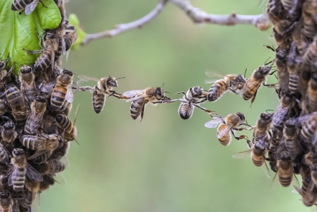 Il Coronavirus ha sconvolto davvero il futuro del capitalismo?
