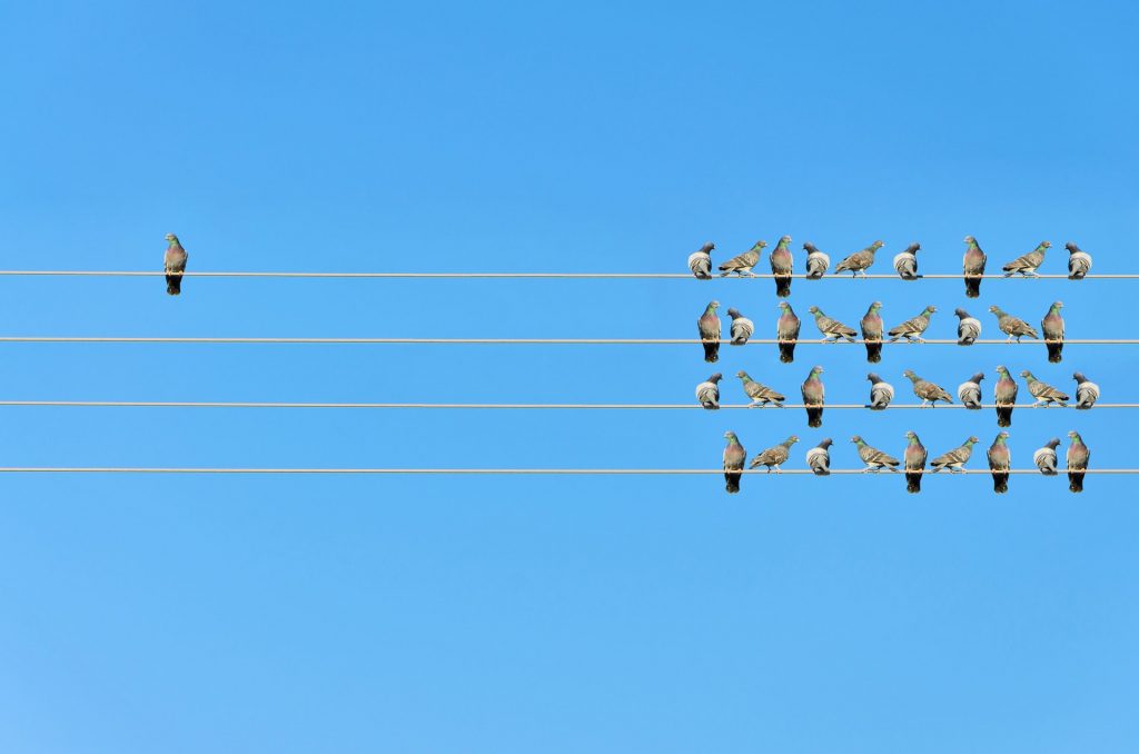 Il contagio delle emozioni che ti rende un buon leader