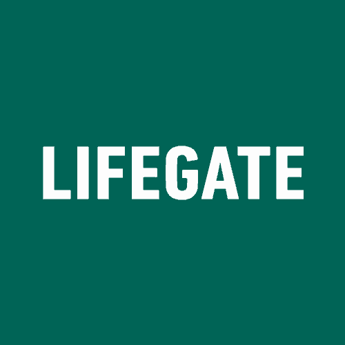 Immagine principale di: LifeGate