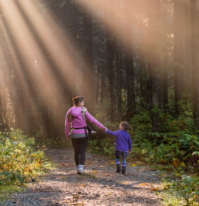 Immagine per: Gocce di Gratitudine