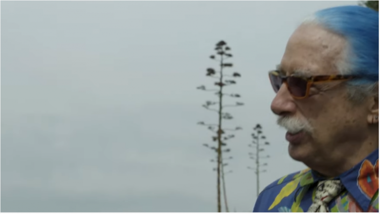Immagine principale di: Palermo - Patch Adams