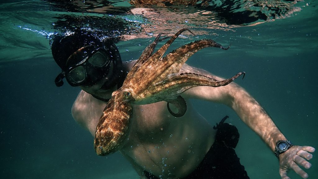 “My Octopus Teacher” ci insegna come riscoprire l’amicizia pura ed i suoi benefici