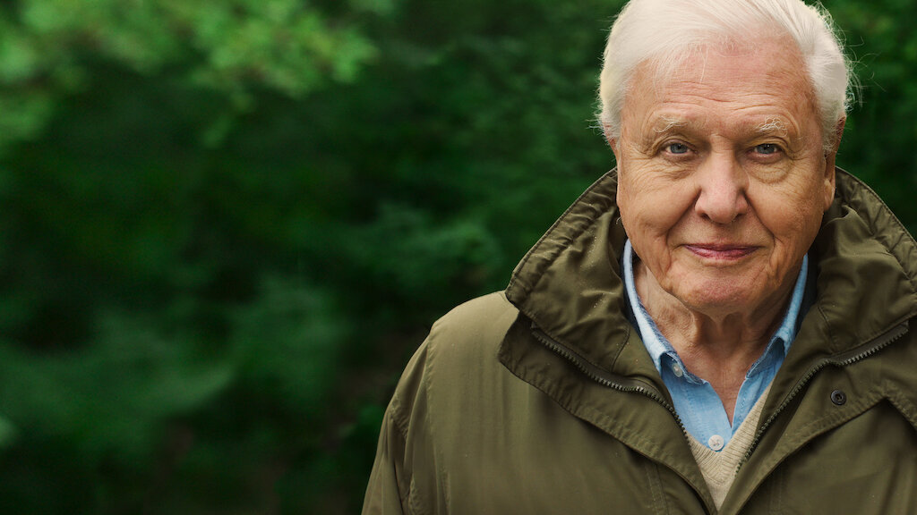 Immagine principale di: Perché vedere il documentario di David Attenborough può salvare il pianet