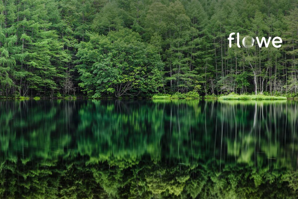 Flowe, un mondo migliore è possibile (grazie alla finanza)!