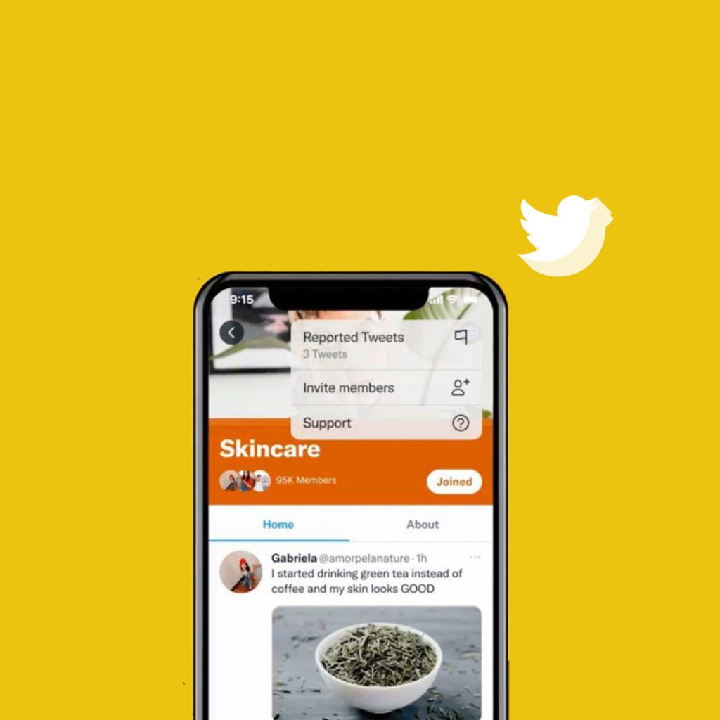Anche Twitter adesso ha i gruppi, i cinguettii incrociano le passioni