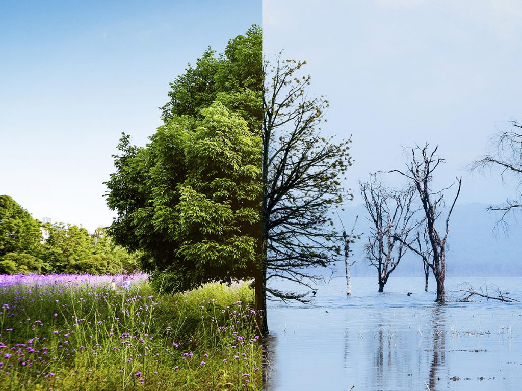 L’eco-ansia: come la crisi climatica ci preoccupa sempre di più