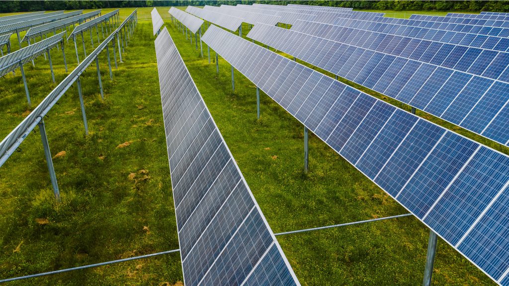 Aziende e sostenibilità: progettare il futuro con un occhio al benessere dell’ambiente