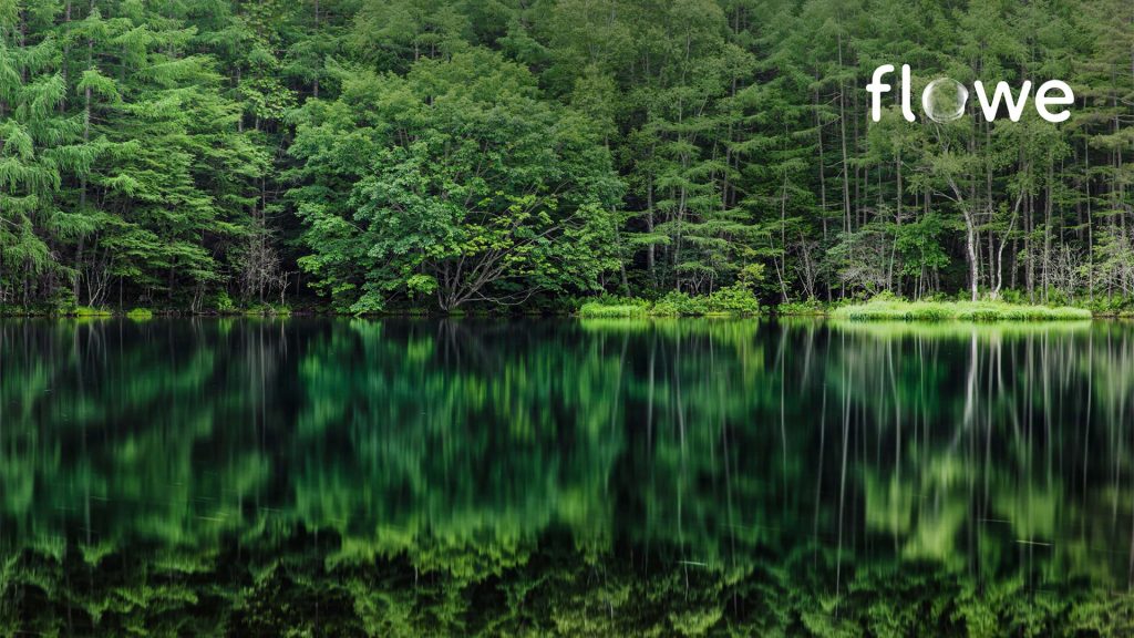 La riforestazione ci salverà