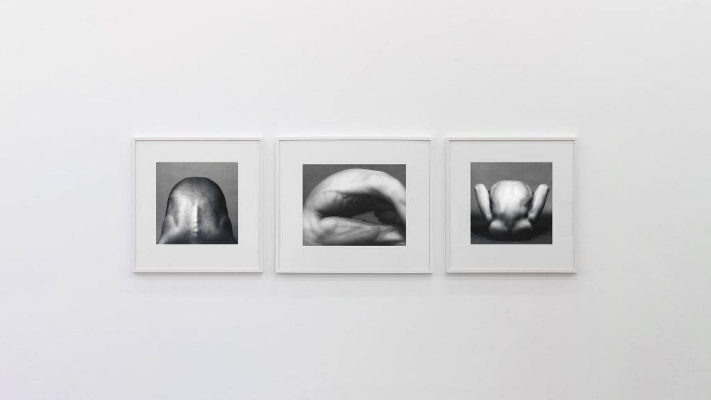 Robert Mapplethorpe: da Patti Smith a Andy Warhol, gli anni 80 in fotografia