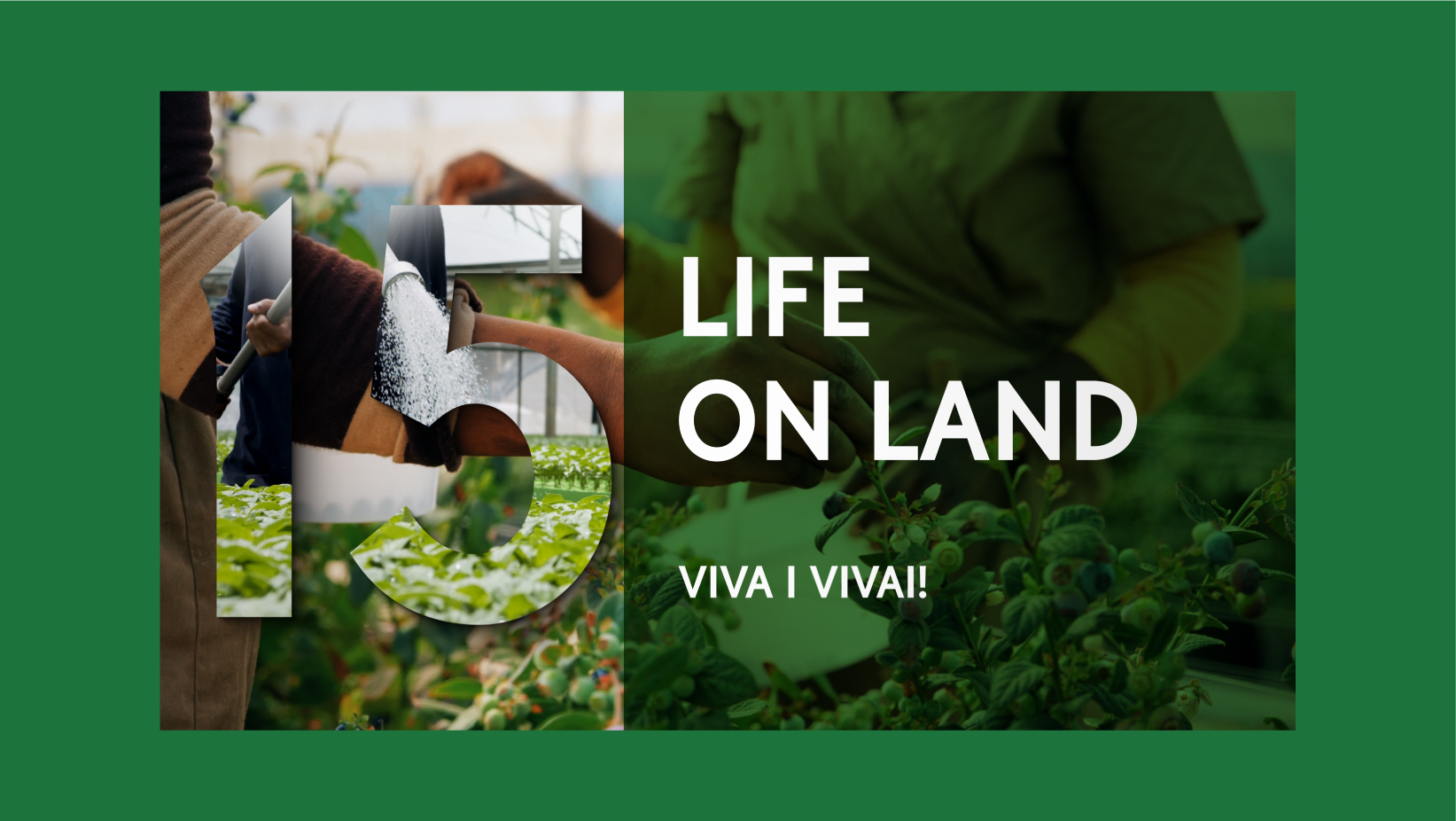 Pianeta Centodieci – Life on Land / Viva i Vivai