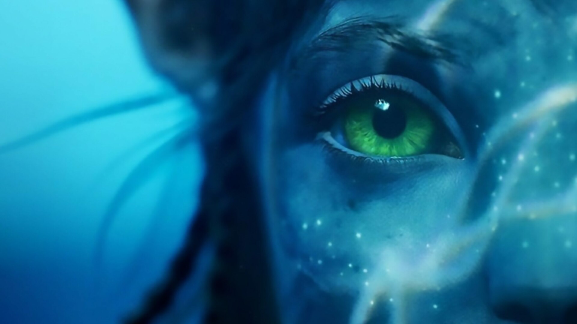 Immagine principale di: Il successo di Avatar – La via dell’acqua e come conquistare il grande 