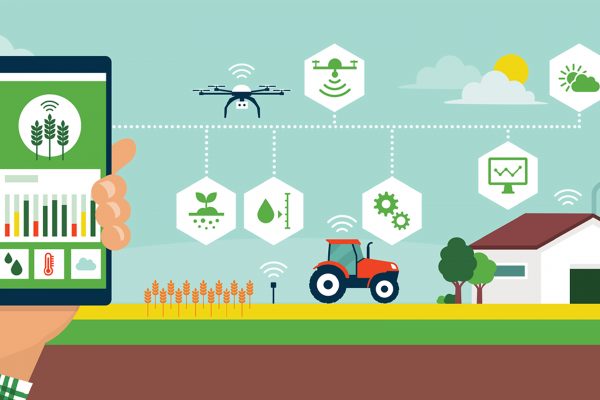 L’agricoltura 4.0 sboccia in Italia: 2 miliardi di valore e 8% di superfici coltivate